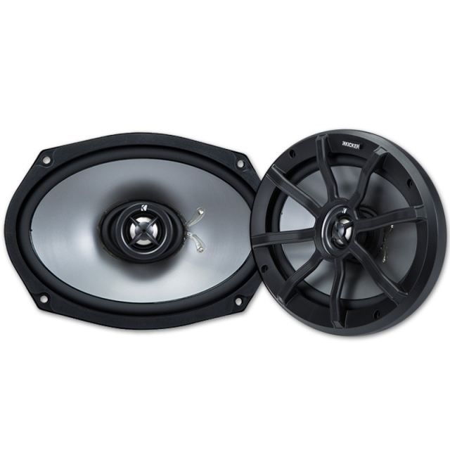 12 inch 100 watt subwoofer
